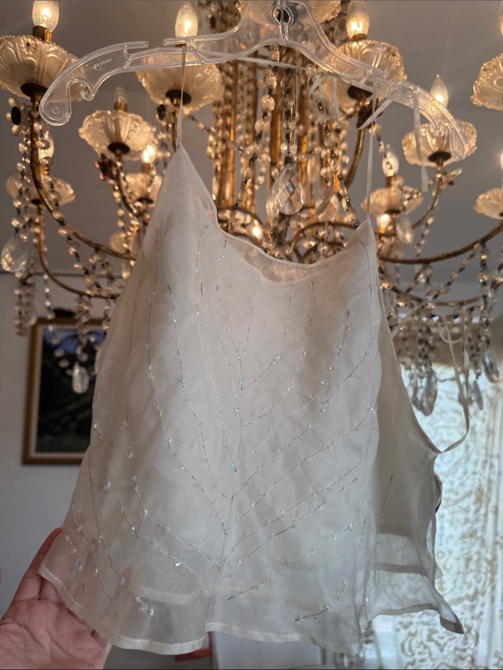 BCBG Sheer Embroidered Camisole in Cream